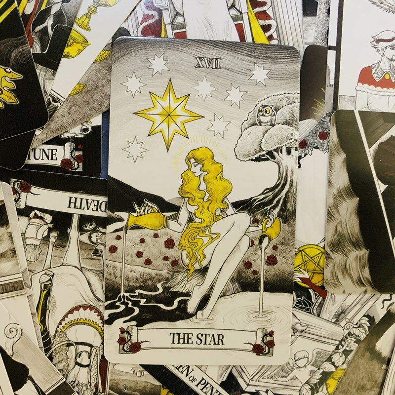Secret Mirror Tarot cards 80 d - Tarot Deck With Guidebook recension och pris